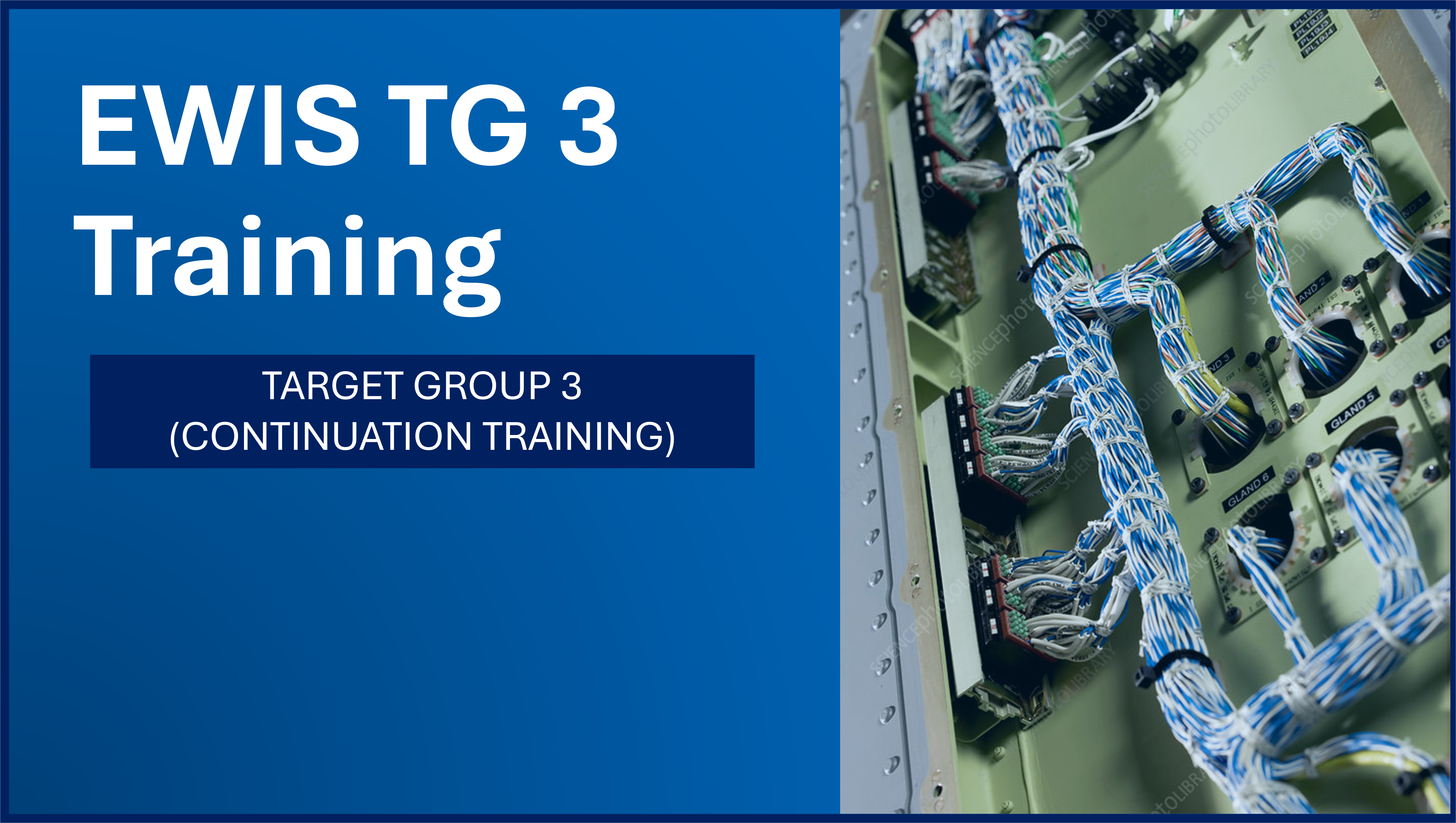 EWIS - Target Group 3 (Continuation Training)