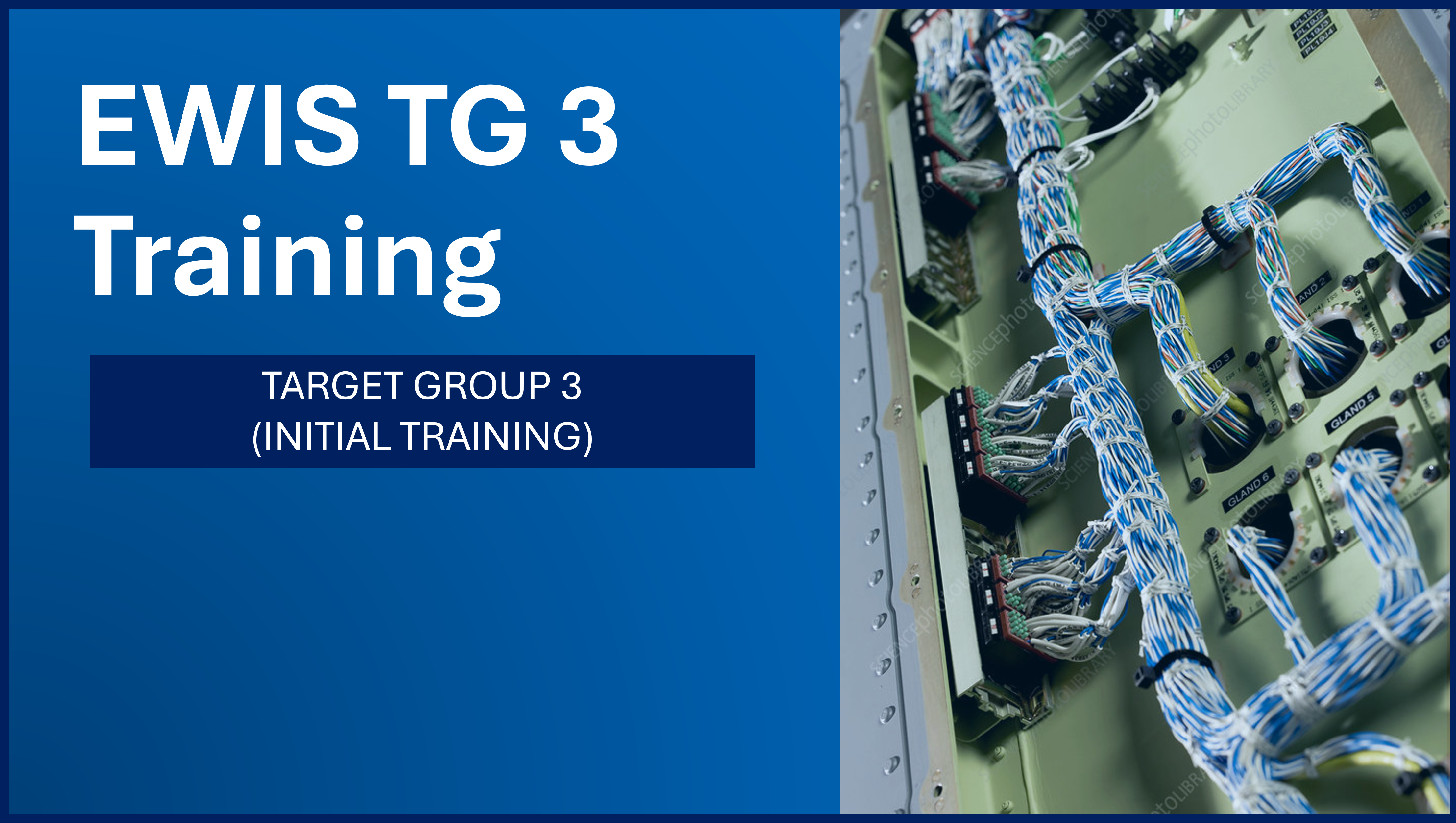 EWIS - Target Group 3 (Initial Training)